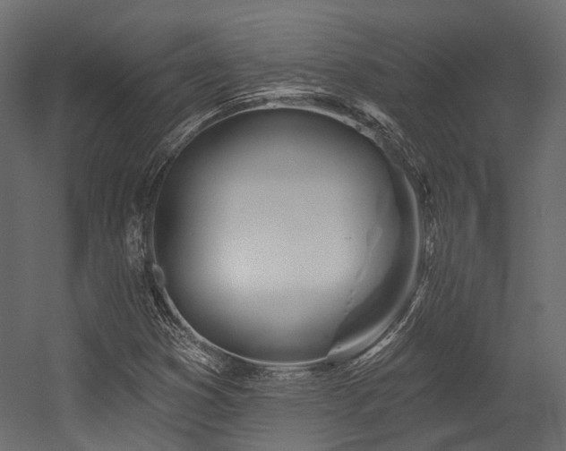X0000054461353200507291337