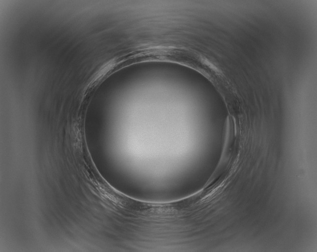 X0000054461354200507291337