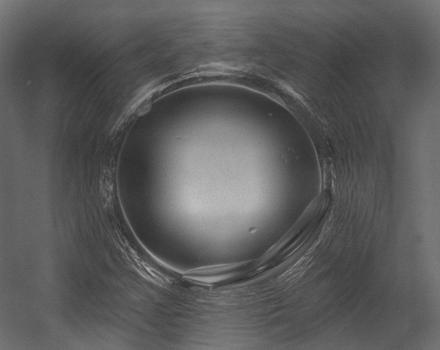 X0000054461355200507291337