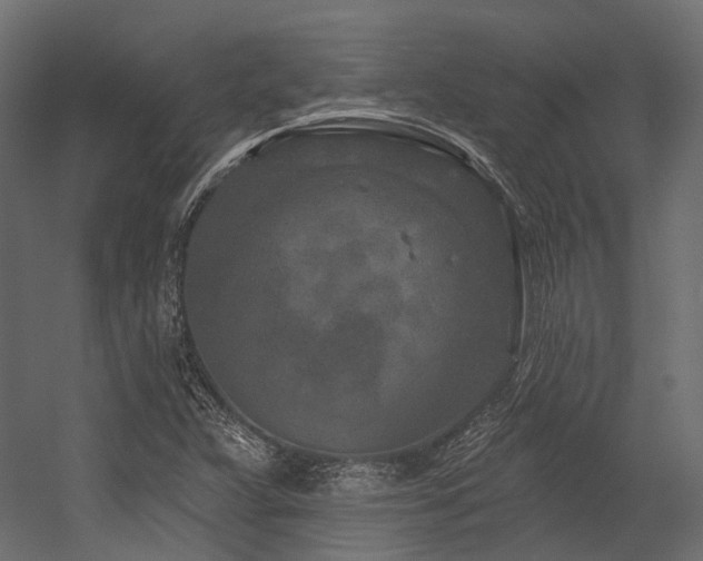 X0000054461359200507291337