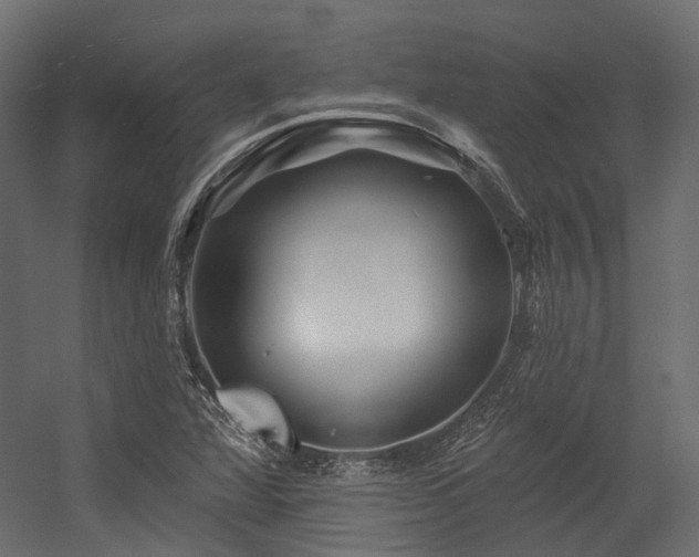 X0000054461360200507291337