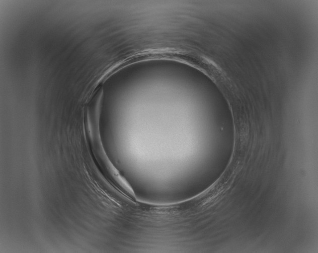 X0000054461361200507291337