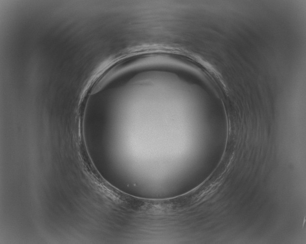 X0000054461365200507291337