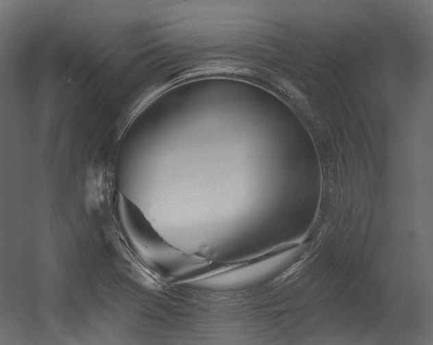 X0000054461369200507291337