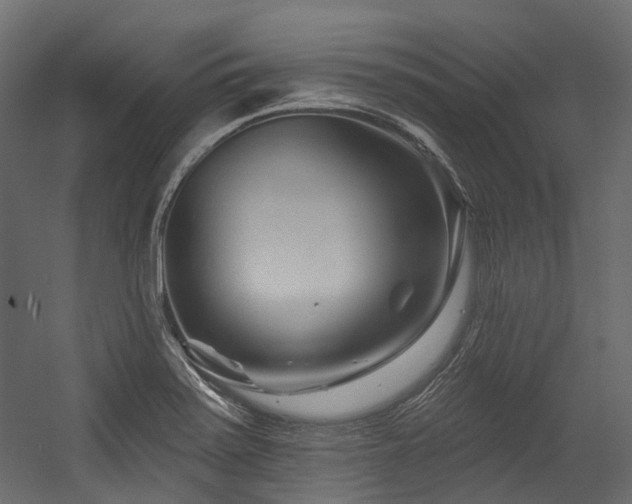 X0000054461371200507291337