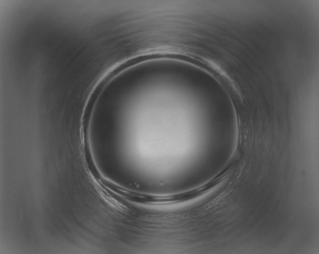 X0000054461372200507291337