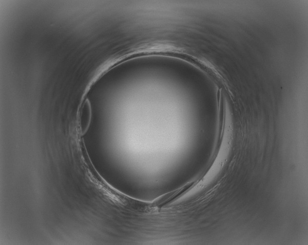 X0000054461374200507291337