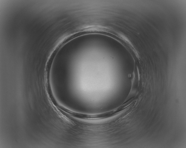 X0000054461376200507291337