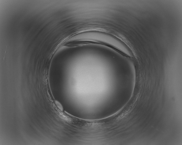 X0000054461377200507291337