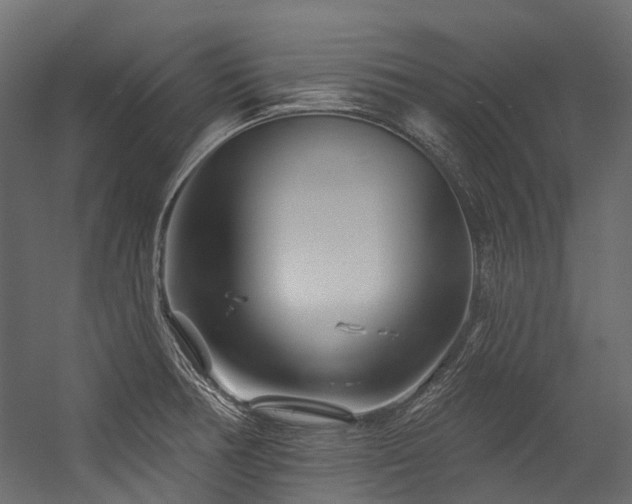 X0000054461378200507291337