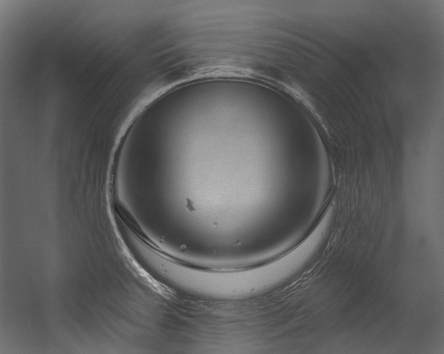 X0000054461379200507291337