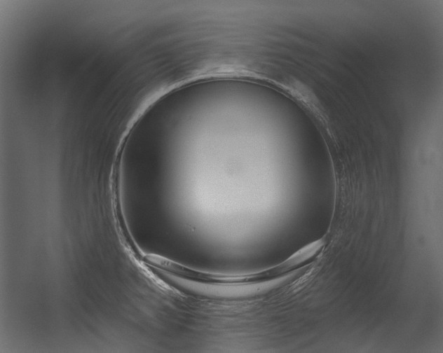 X0000054461382200507291337