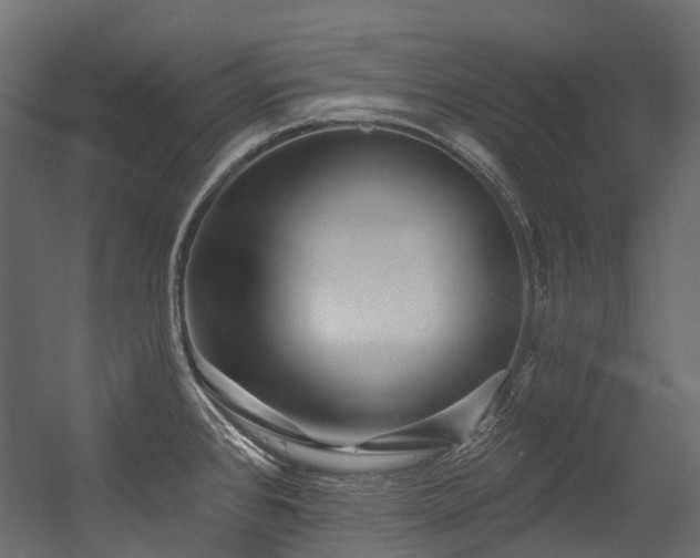 X0000054461384200507291337