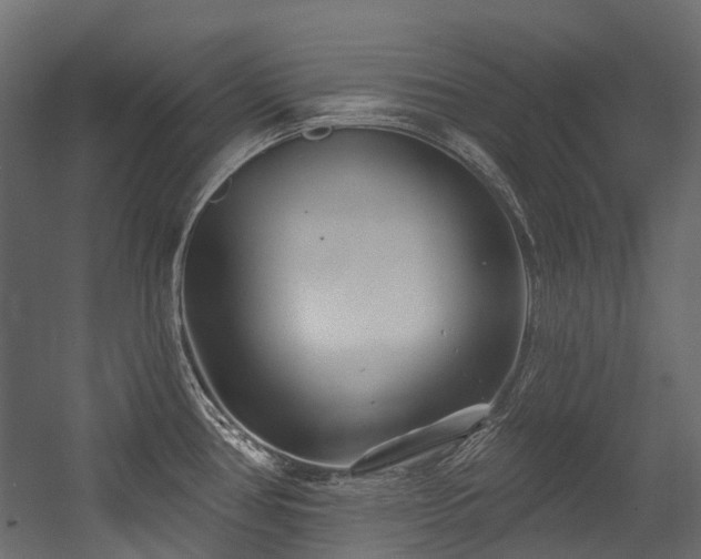 X0000054461386200507291337