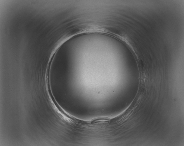 X0000054461387200507291337
