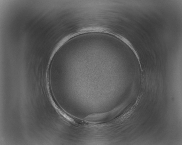 X0000054461389200507291337