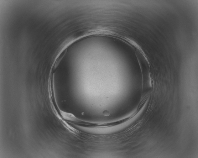 X0000054461391200507291337