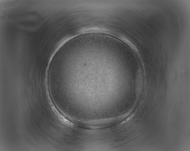 X0000054461392200507291337