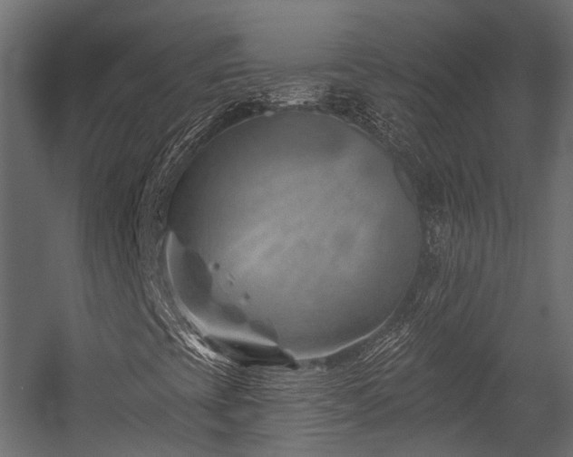 X0000054461393200507291336