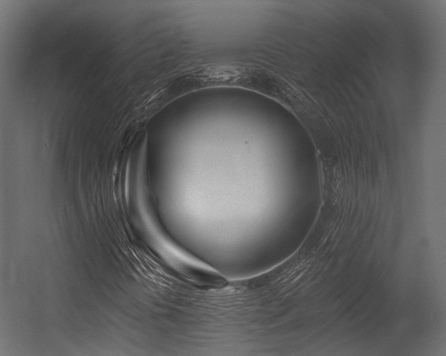 X0000054461394200507291336