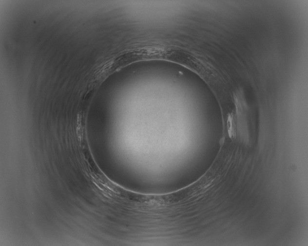 X0000054461395200507291336