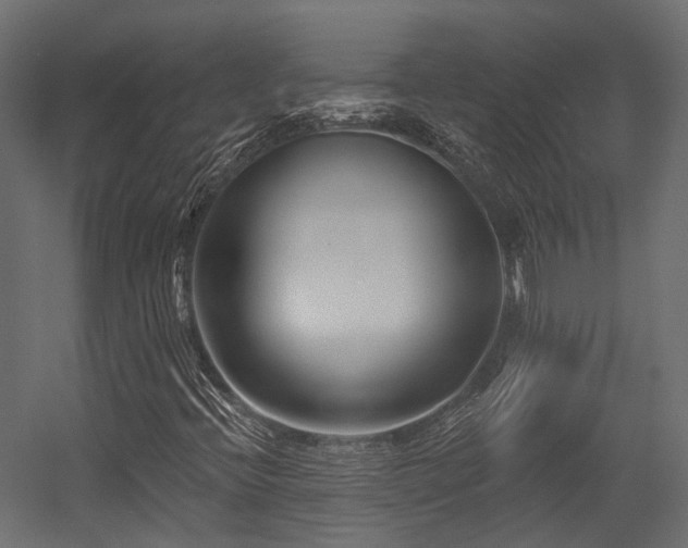X0000054461396200507291336