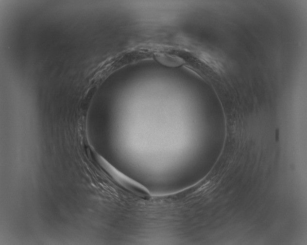 X0000054461397200507291336