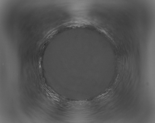 X0000054461399200507291336