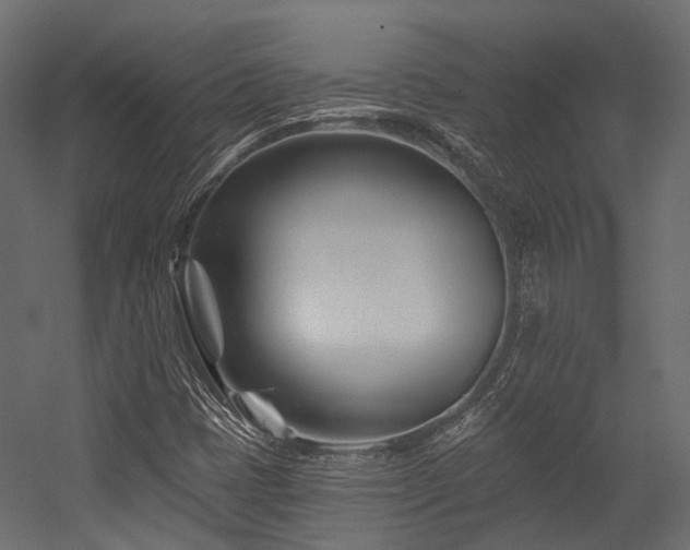 X0000054461401200507291336