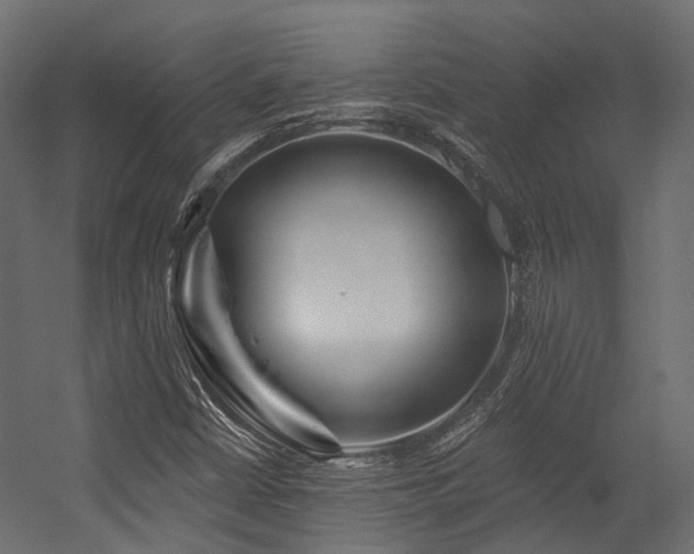 X0000054461402200507291336