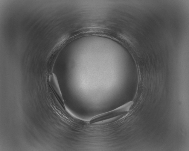 X0000054461403200507291336