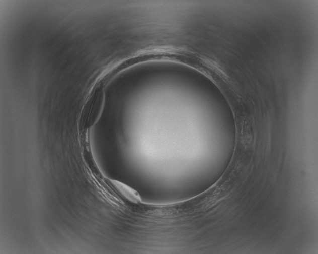 X0000054461404200507291336
