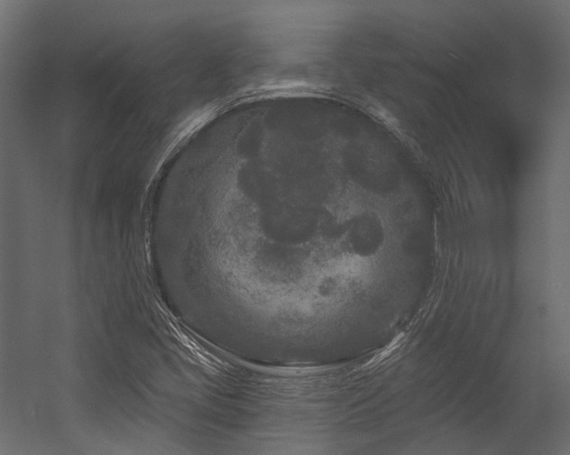 X0000054461405200507291336