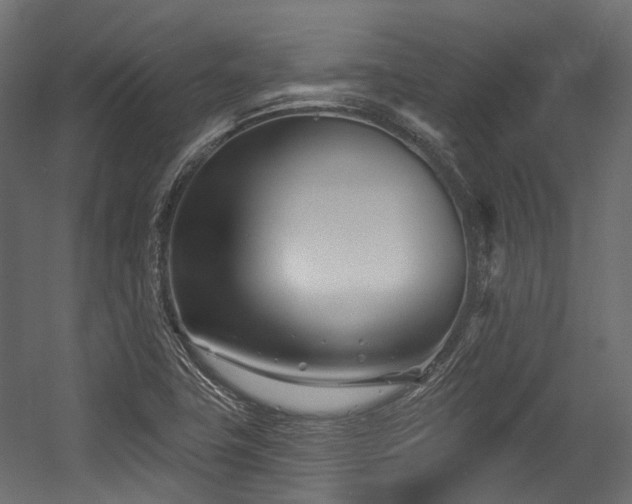 X0000054461411200507291336