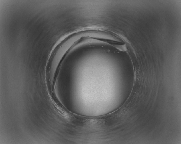 X0000054461412200507291336