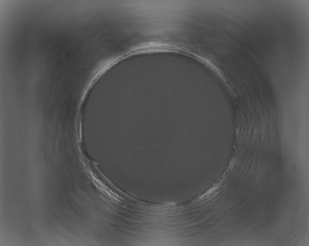 X0000054461413200507291336
