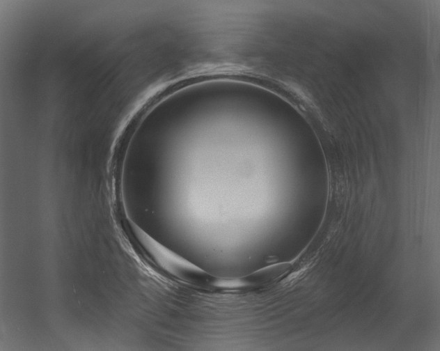 X0000054461414200507291336