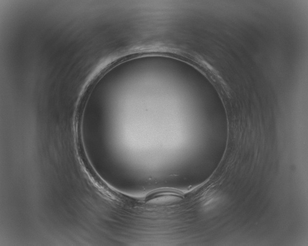 X0000054461416200507291336
