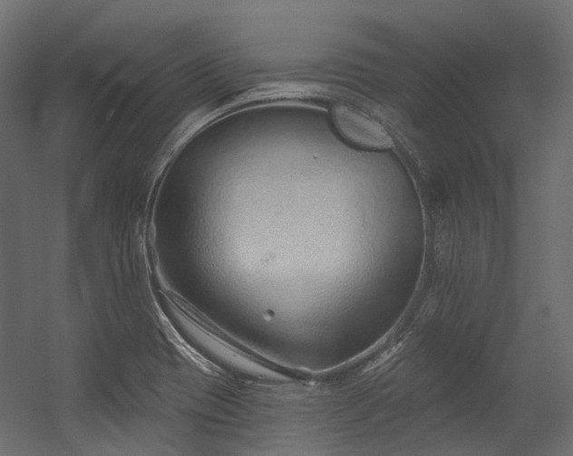 X0000054461417200507291336
