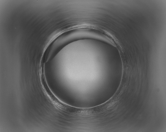 X0000054461418200507291336