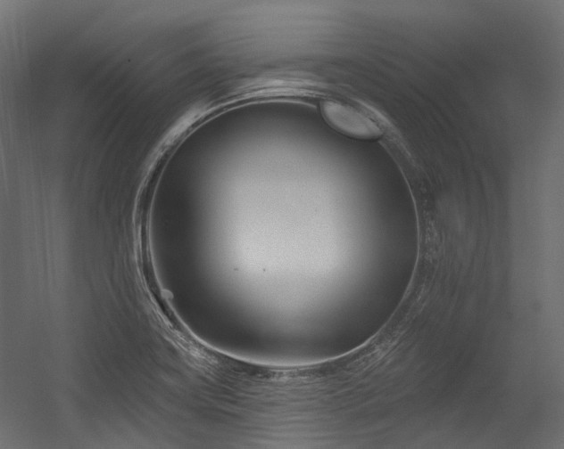 X0000054461419200507291336