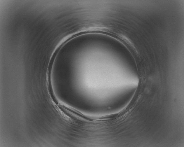 X0000054461420200507291336