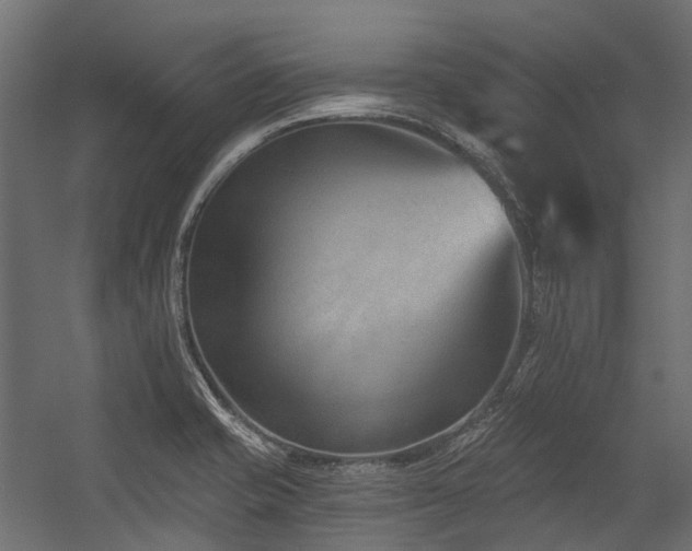 X0000054461421200507291336