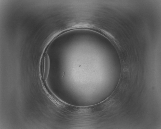 X0000054461423200507291336