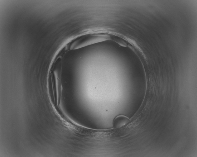X0000054461424200507291336