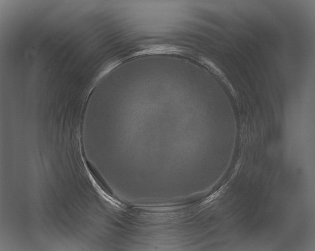 X0000054461425200507291336