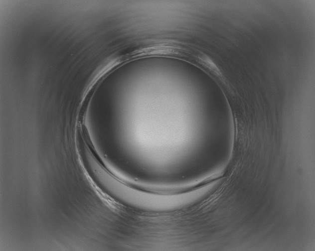X0000054461426200507291336