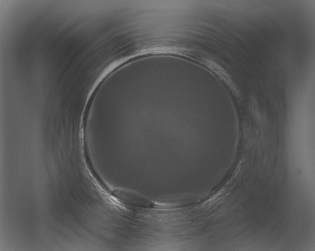 X0000054461428200507291336