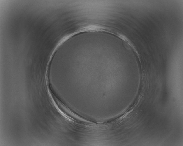 X0000054461429200507291336