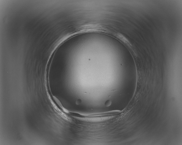 X0000054461431200507291336